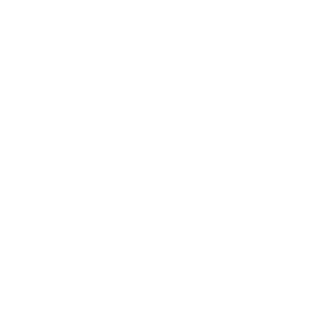 icon weiss ac regio gmbh wirtschaftspruefungsgesellschaft